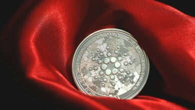 a close up of a coin on a red cloth