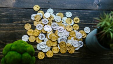 Gold and silver bitcoin coins mixed on a wooden surface with potted plants.