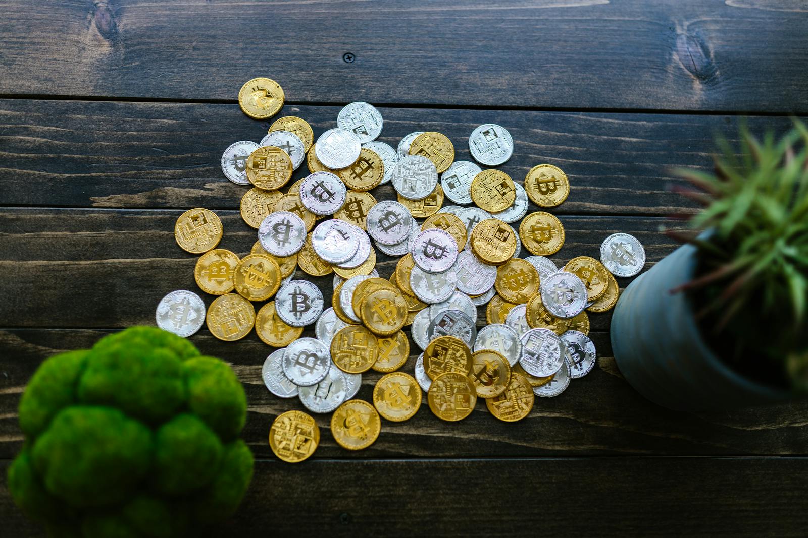 Gold and silver bitcoin coins mixed on a wooden surface with potted plants.