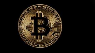 bitcoin, gold, coin, icon, symbol, logo, bitcoin gold, bitcoin logo, currency, cryptocurrency, black background, bitcoin, bitcoin, bitcoin, bitcoin, logo, logo, logo, logo, logo, bitcoin logo, bitcoin logo, bitcoin logo