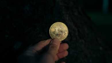 A hand holds a gold bitcoin.