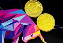 gold round coins on blue and pink paper